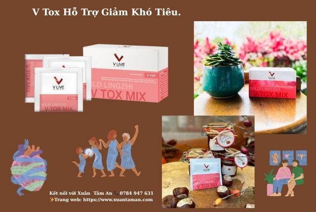 Sản Phẩm V Tox – Giải Pháp Thanh Lọc Tự Nhiên, An Toàn Từ Thảo Dược Quý Hiếm